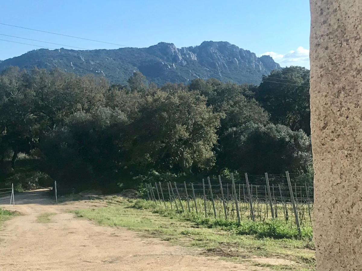 Elegant Country Open Space Deluxe Tenuta Piredu -Monti-Olbia Екстер'єр фото