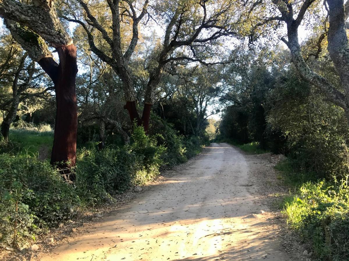 Elegant Country Open Space Deluxe Tenuta Piredu -Monti-Olbia Екстер'єр фото
