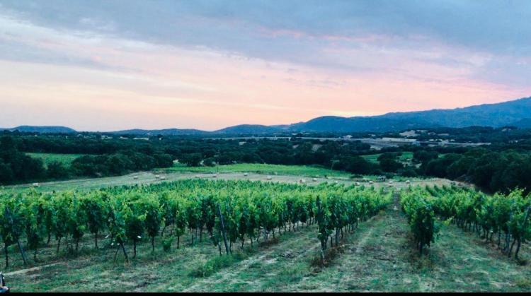 Elegant Country Open Space Deluxe Tenuta Piredu -Monti-Olbia Екстер'єр фото