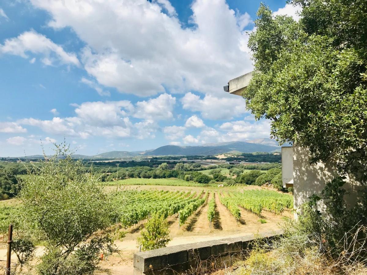 Elegant Country Open Space Deluxe Tenuta Piredu -Monti-Olbia Екстер'єр фото